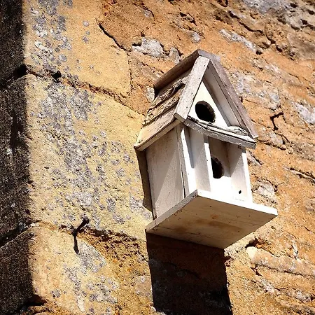 Chateau Le Colombier Brevands