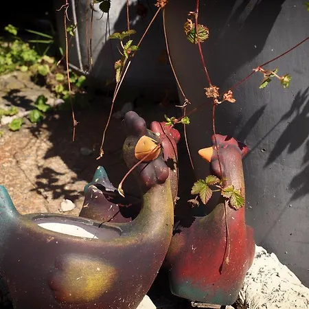 度假居 乐科隆比耶度假屋