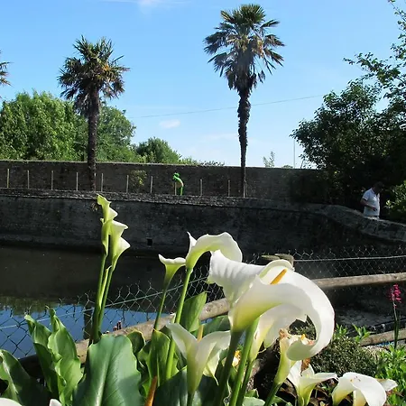 Chateau Le Colombier