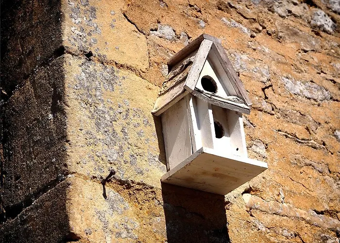 Chateau Le Colombier Brevands