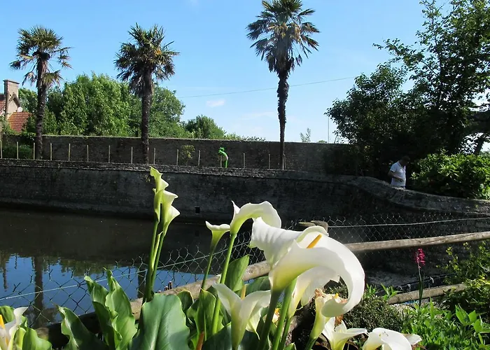 Chateau Le Colombier